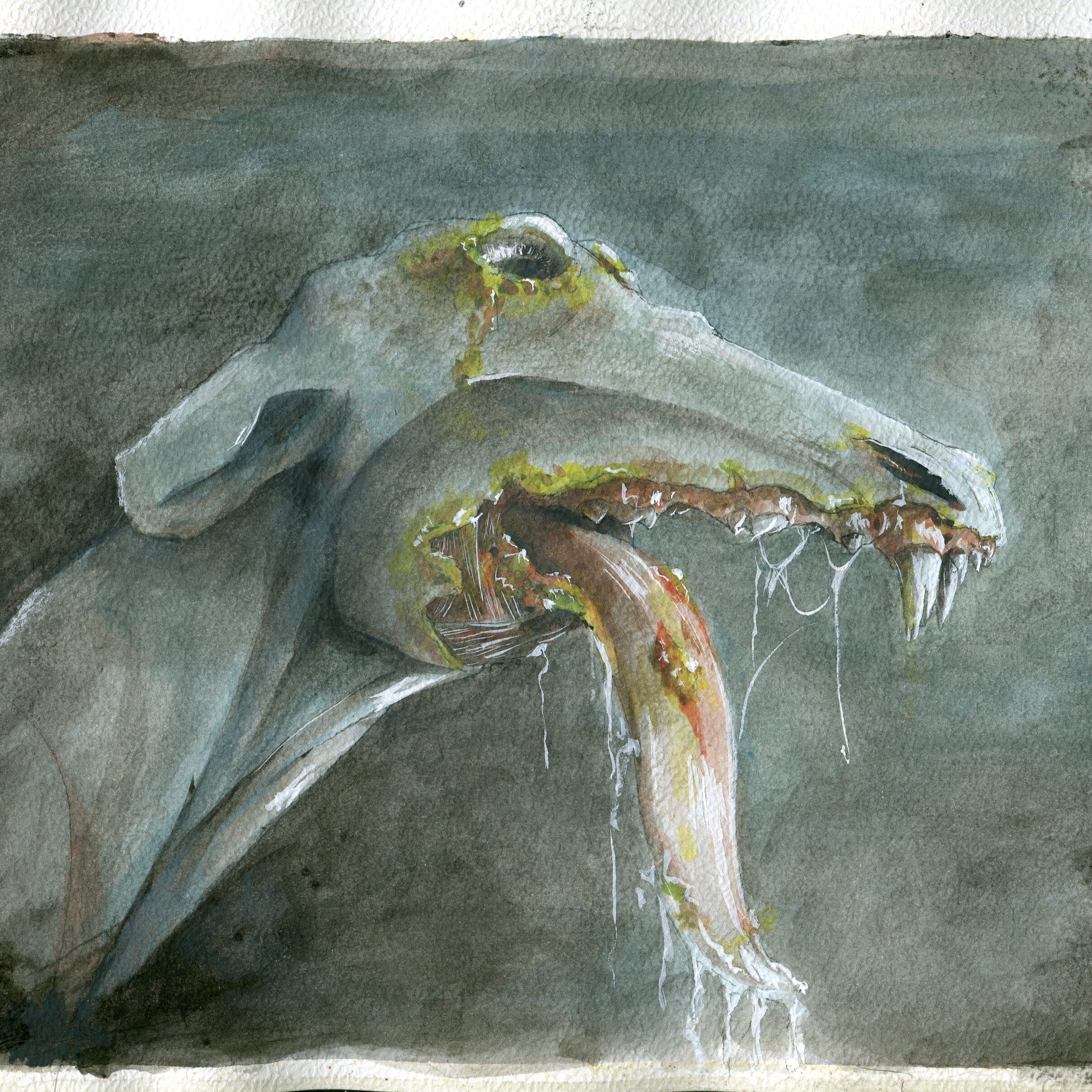 wydruki akwareli